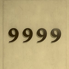 9999 Mod